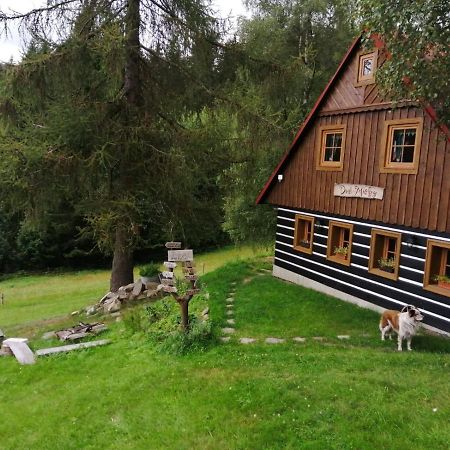 Apartman Dve Micky Пец-под-Снежкой Экстерьер фото
