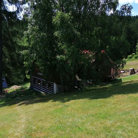Apartman Dve Micky Пец-под-Снежкой Экстерьер фото